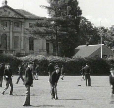 French Cricket